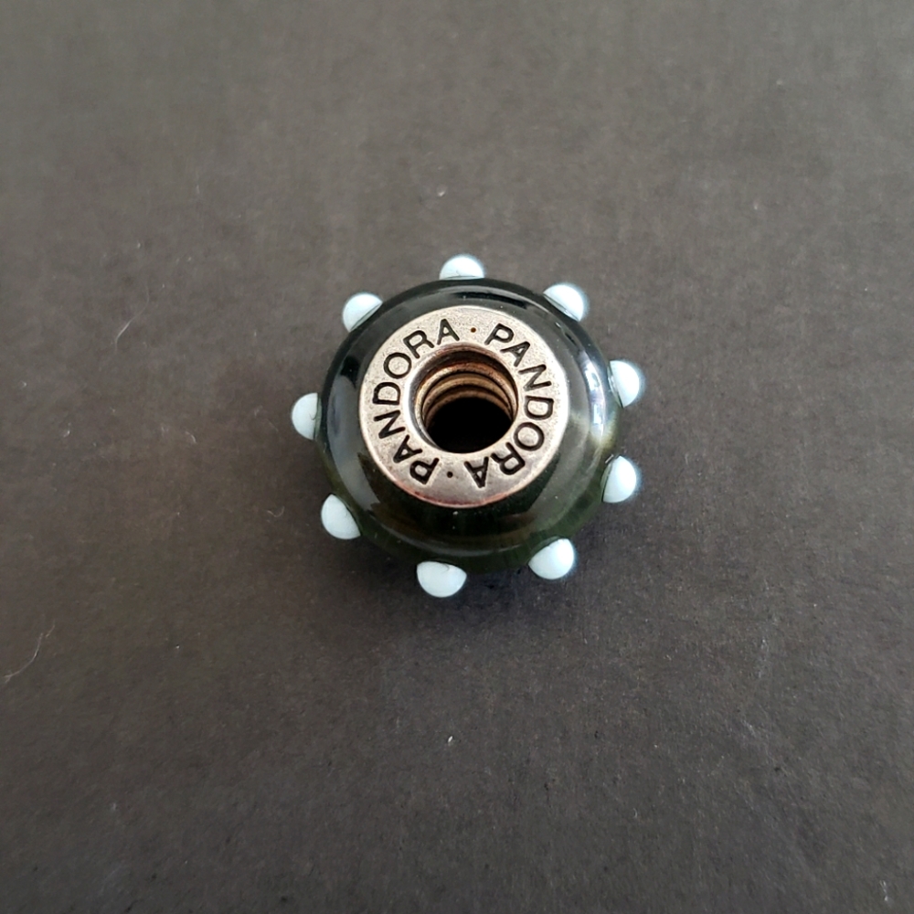 Bead charm